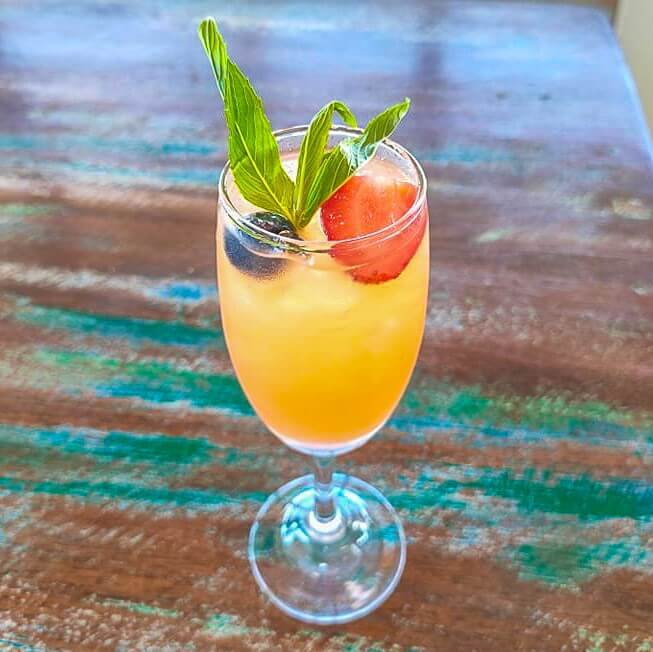 mimosa